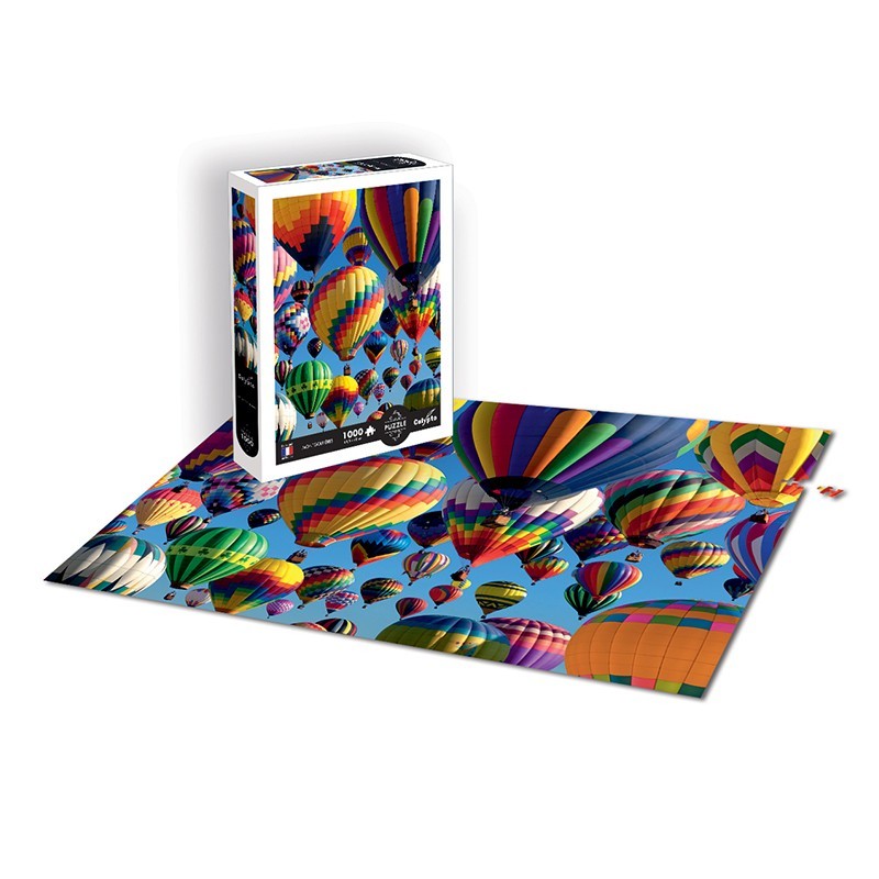 puzzle-1000-pieces-paysage-montgolfieres-5