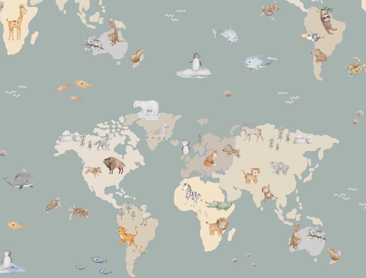 WORLD MAP