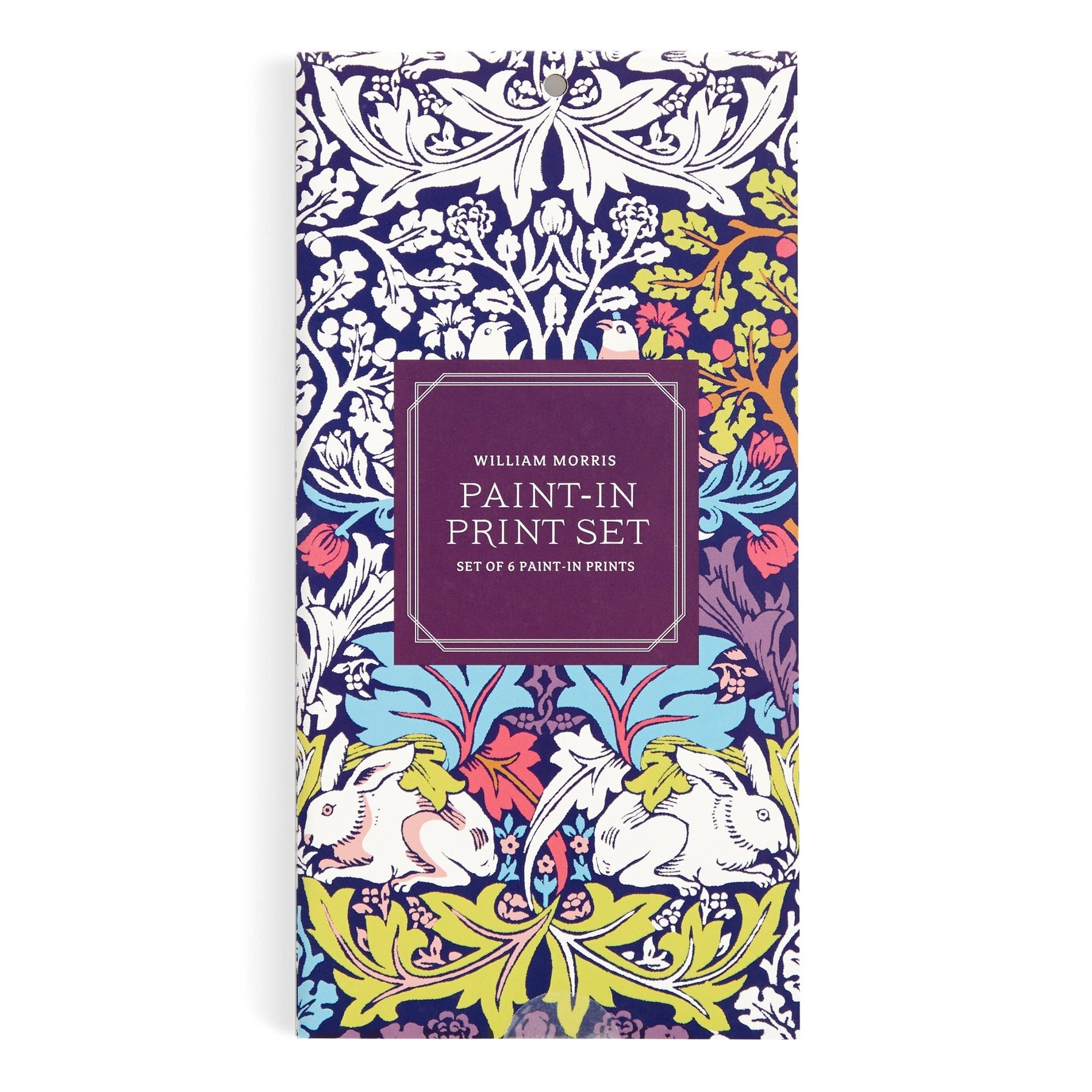 william-morris-paint-in-print-set-coloring-activity-books-william-morris-260414