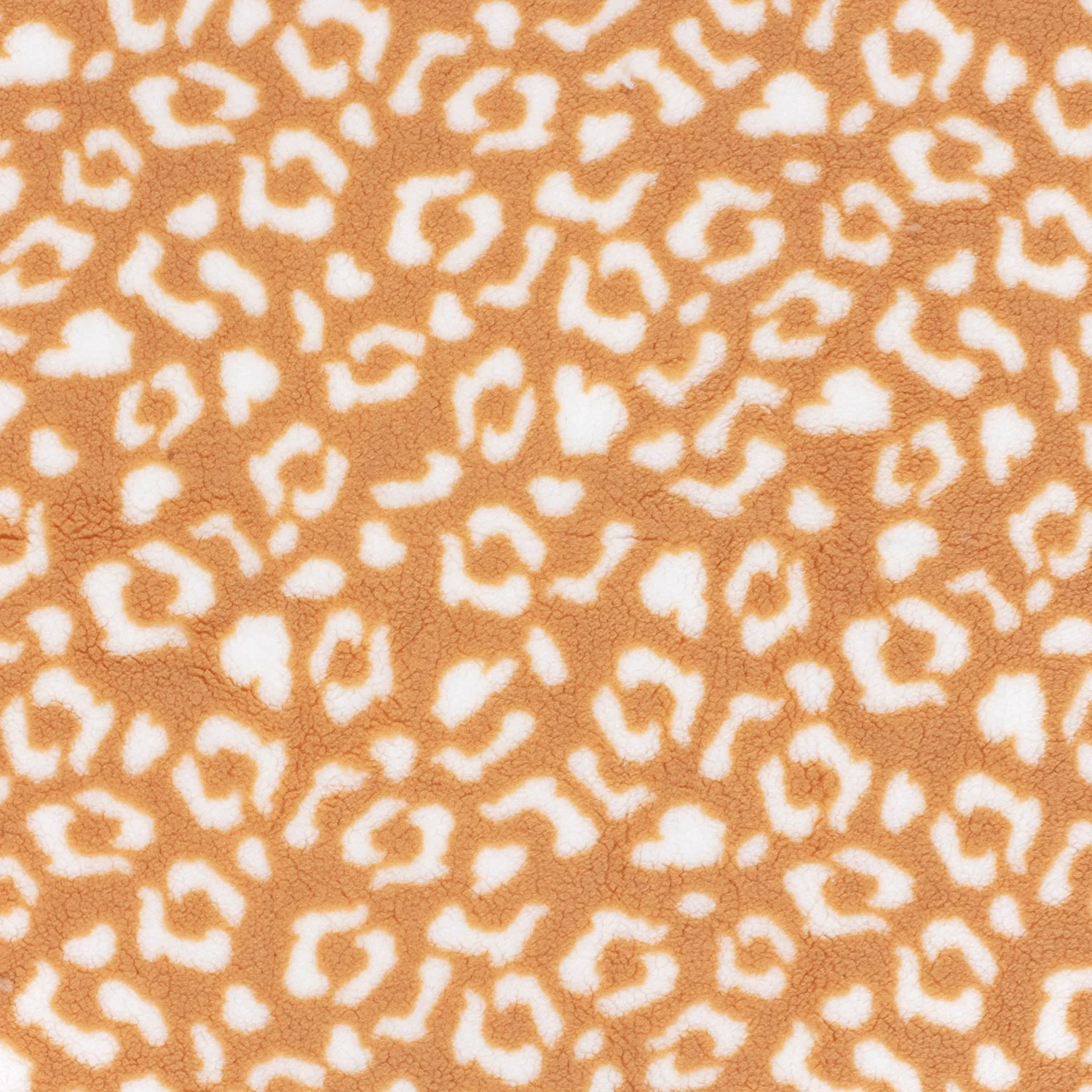 22431 2