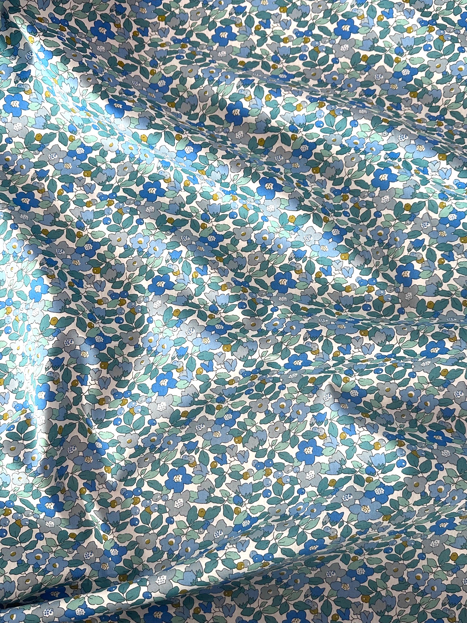 036375609A