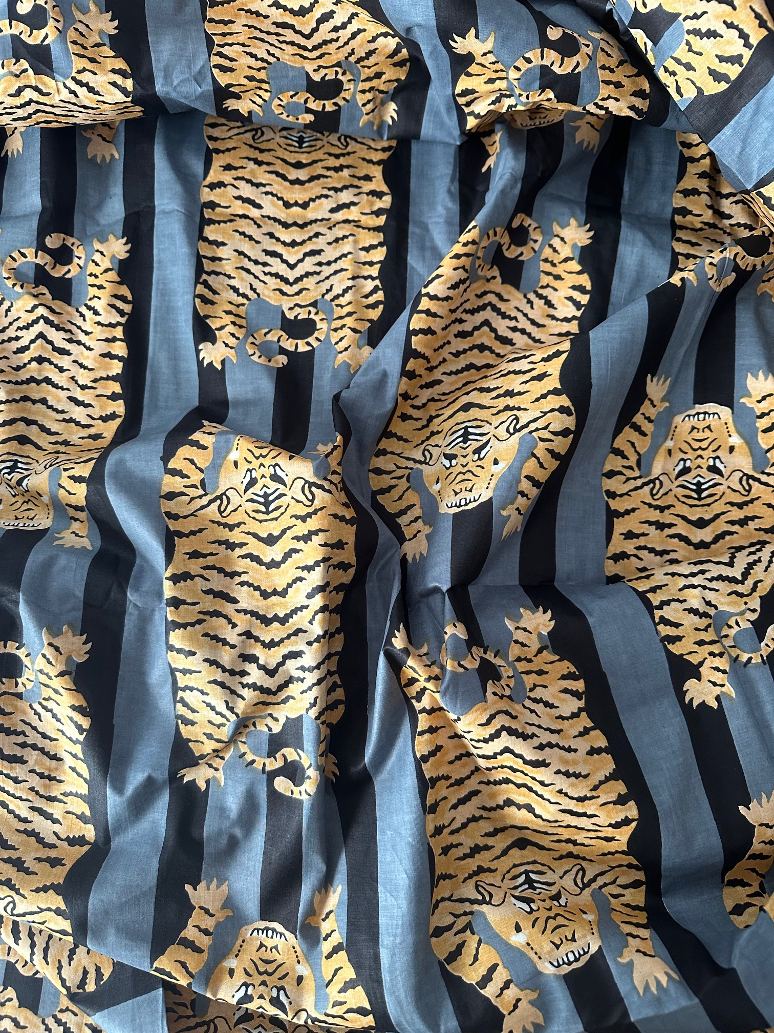 TIGRE NOIR GRIS