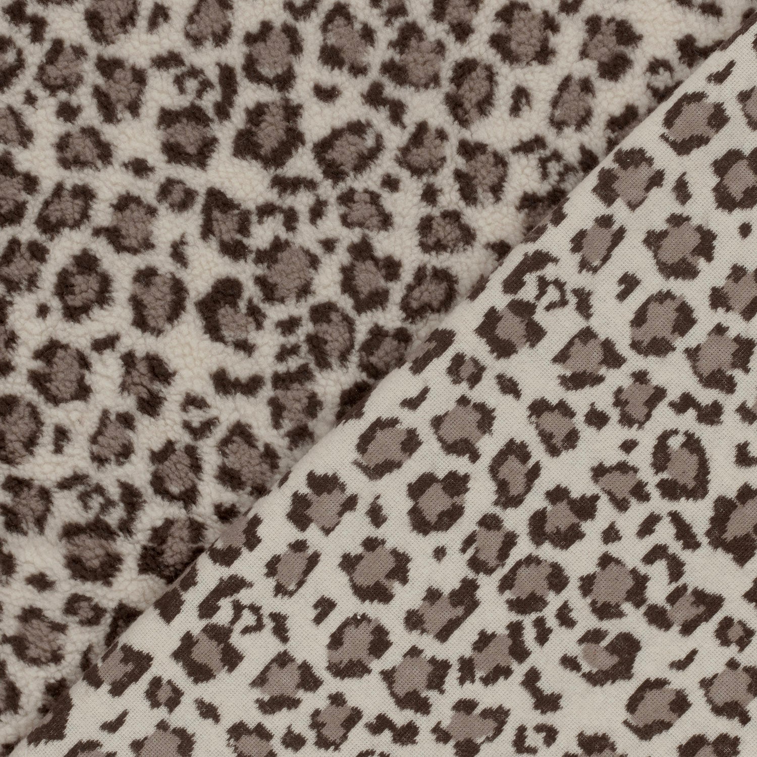 24131