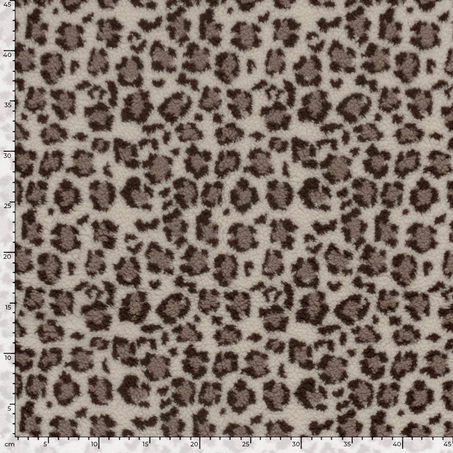 24131