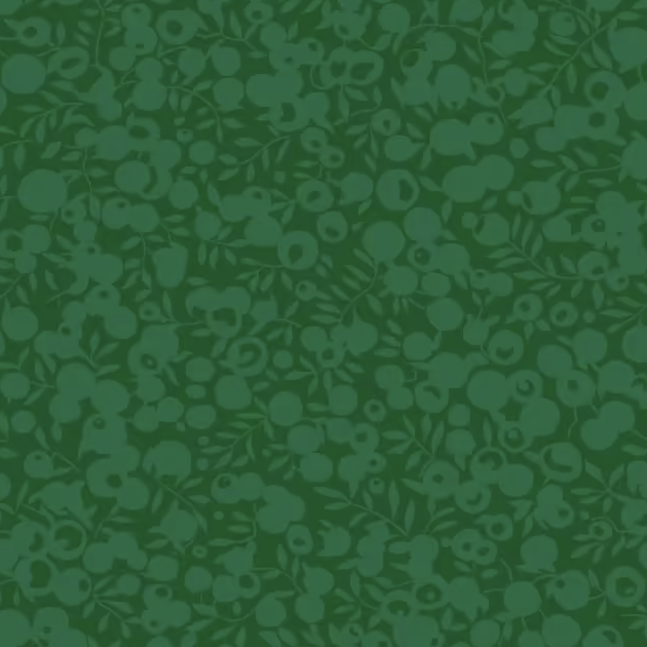 01666559A