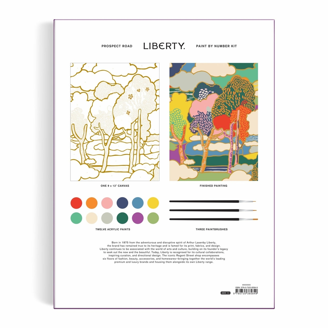 ga-paintbynumberkit-9x12-liberty-prospectroad-int6-9780735385849
