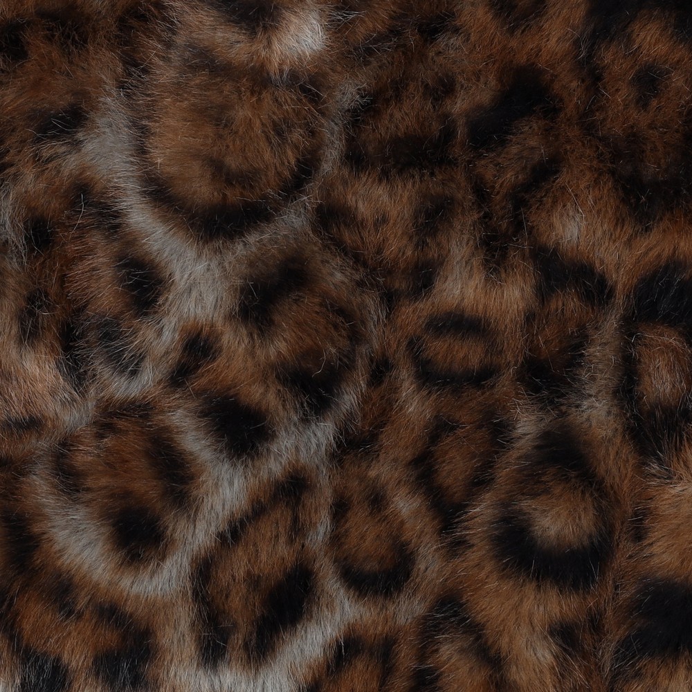 03806.001_image1