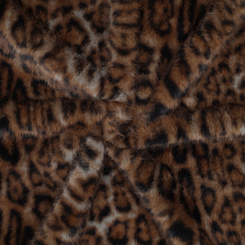 03806.001_image2