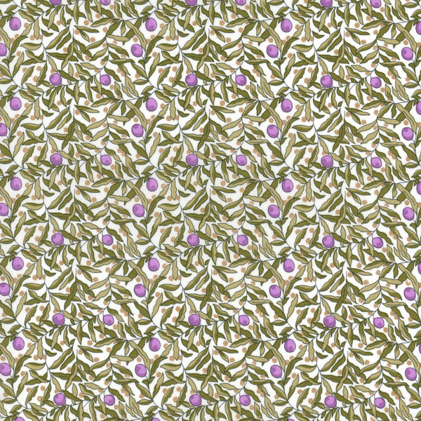 Joyous-Juniper-C