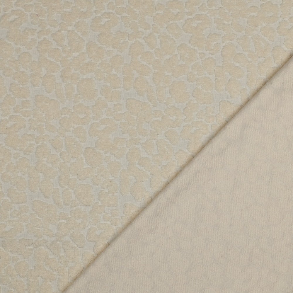 03740.001_image3