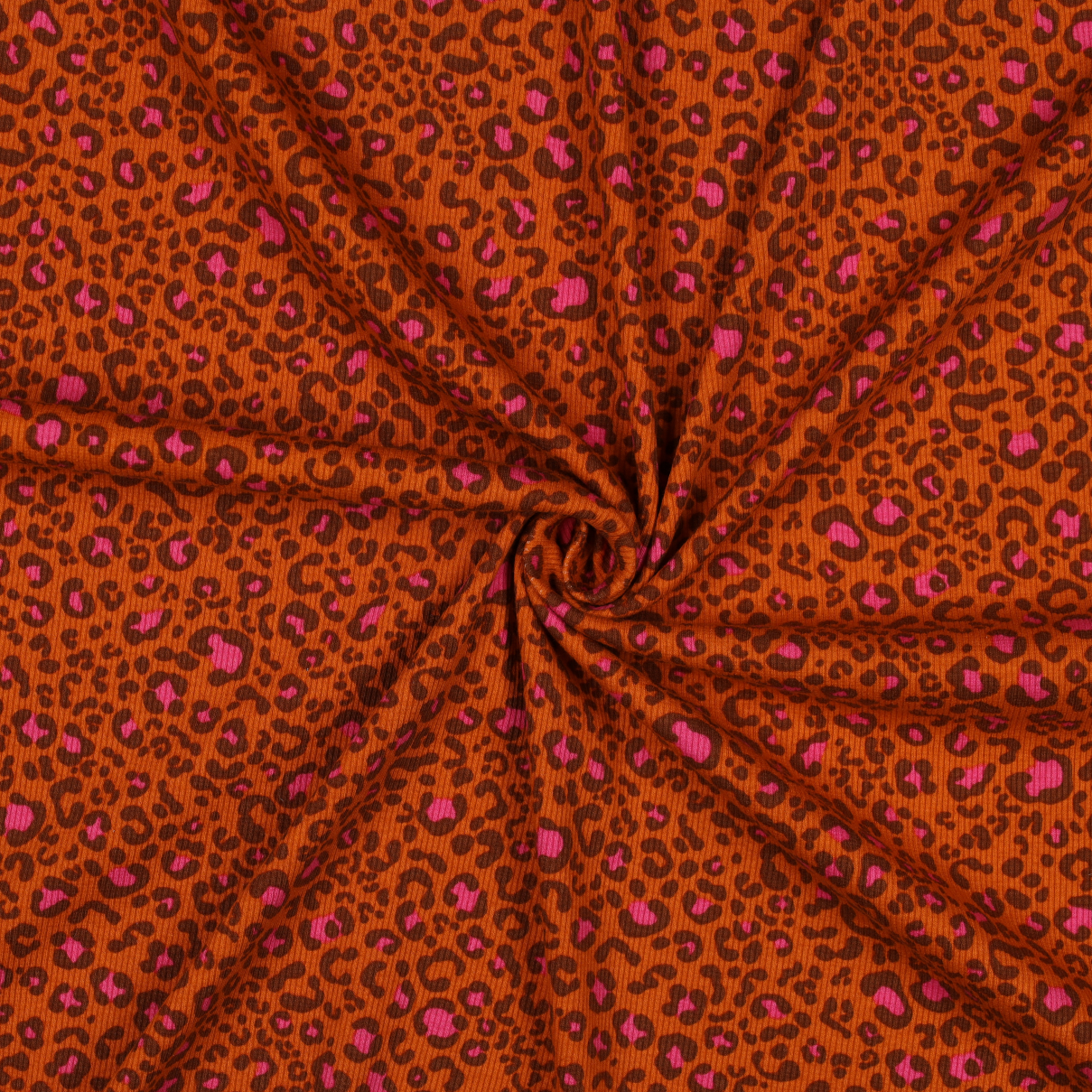 06287.007_image2