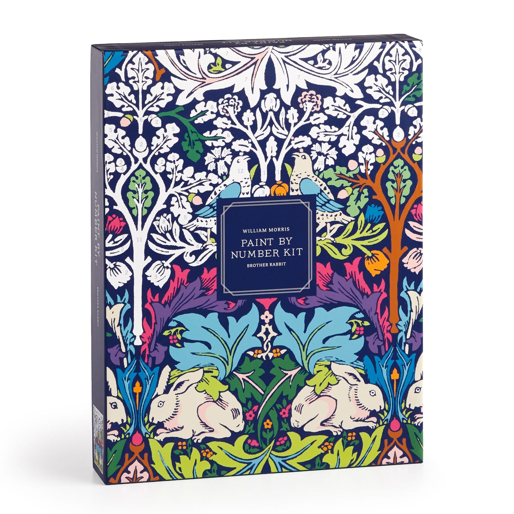 GA_PaintByNumberKit_9x12_WilliamMorris_BrotherRabbit_CVR_9780735388703