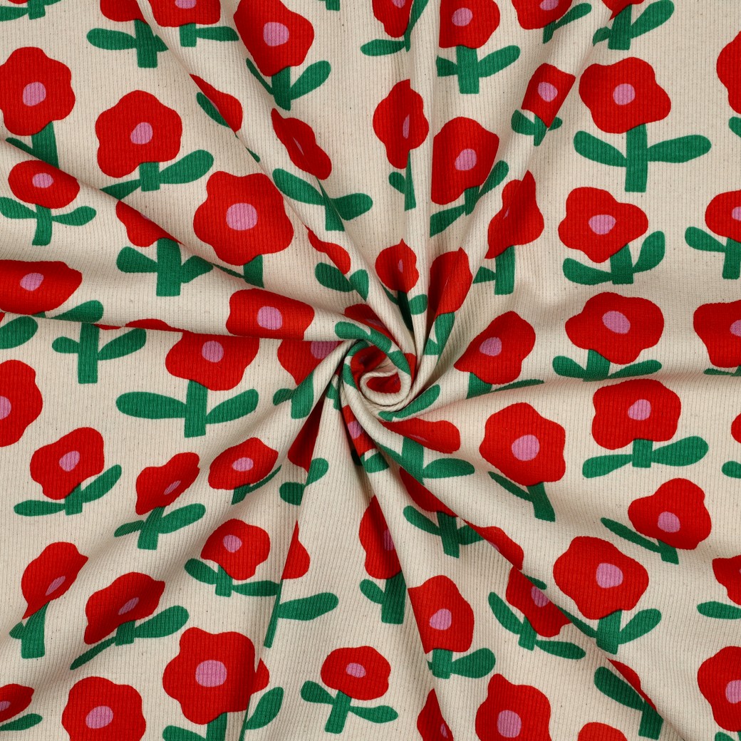 08114.011_image2