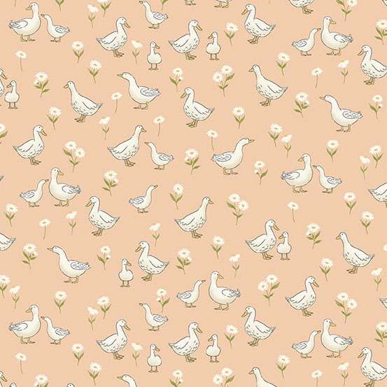 190_C_ducks