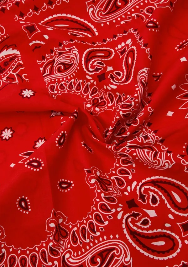 bandana rouge 4