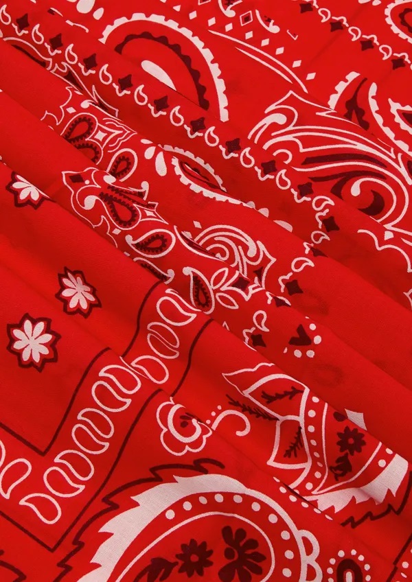 bandana rouge 2