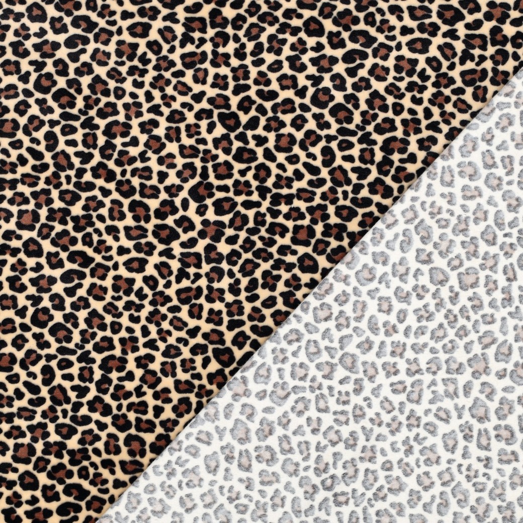 04973.002_image3
