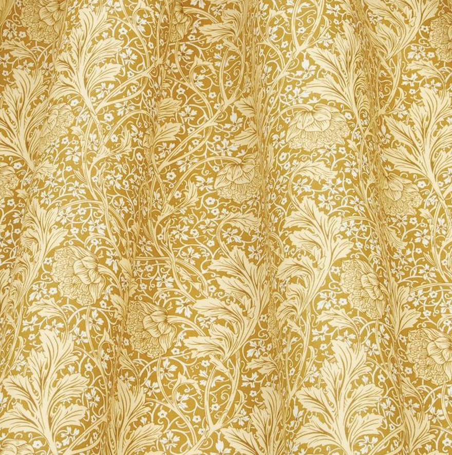 036375455A