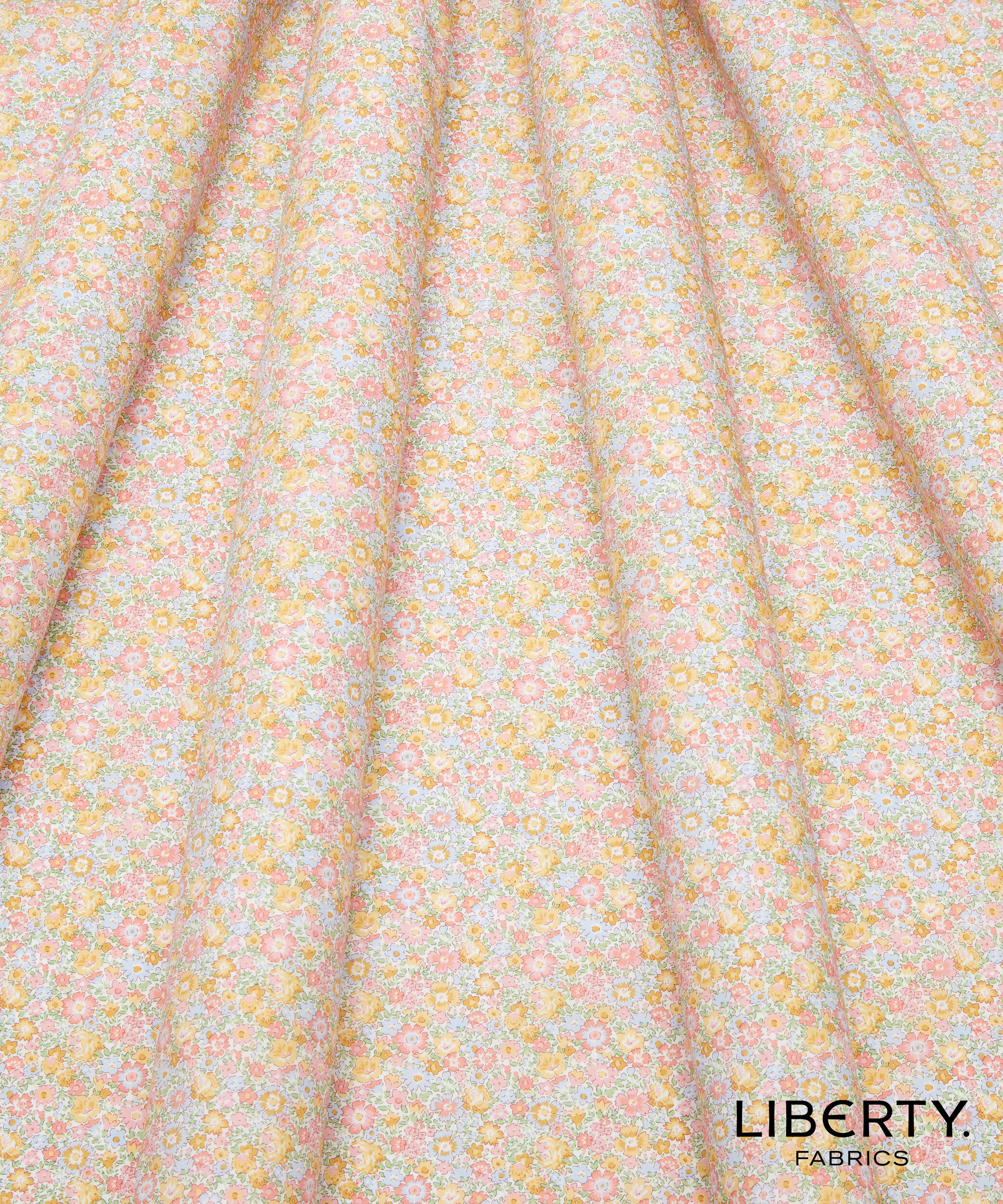 03636050C (2)