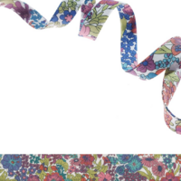 Biais Liberty Margaret Annie bruyère coloris G 50 cm