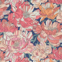 Liberty Blackburn coloris C 20 x 137 cm