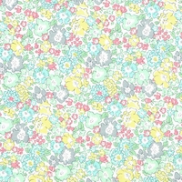 Liberty Tana Lawn™ Michelle mint et anis coloris B 20 x 137 cm