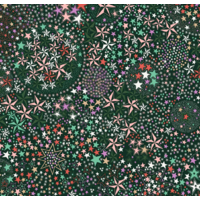 Liberty Tana Lawn™ Adelajda's Wish vert coloris Y 20 x 137 cm