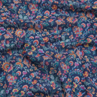 Liberty Tana Lawn™ Kazusa coloris C 20 x 137 cm