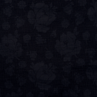 Jacquard fin coton et lin coloris noir 20 x 135 cm