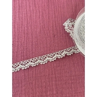 Dentelle lurex largeur 1,7 cm coloris argent x 10 cm