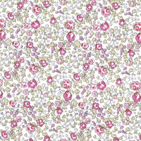 Liberty Eloise rose coloris C 20x137 cm