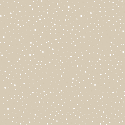 premiere_etoile_motif_classique_meringue_50x50