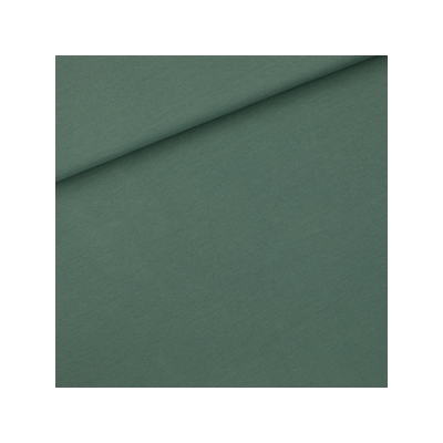 0005161_french-terry-sagebrush-green-r_300