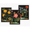 FNA006