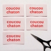 coucou chaton