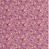 19679-012
