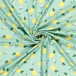 21679