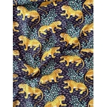 INDE-50