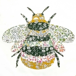 Web-Honey-house-bee-close-up