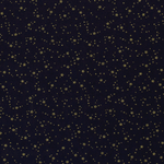 20709 008