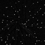 03786.001_image2