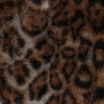 03806.001_image1