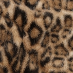 03806.002_image1