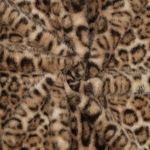 03806.002_image2