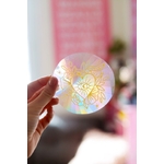 rainbowcatcher