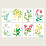 Peintureaunumero-cueillettes-cartes