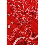 bandana rouge 2
