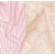 ebglish bloom rose
