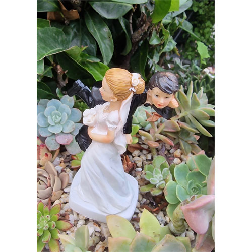 figurine-gateau-mariage-humour-viens-je-temmene-3