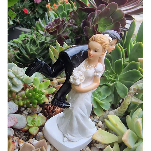 figurine-gateau-mariage-humour-viens-je-temmene-2
